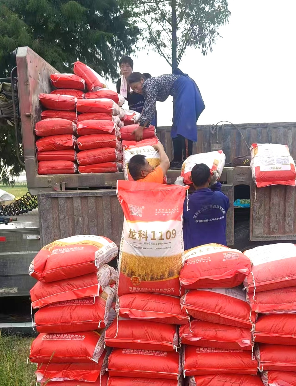 金狮贵宾会·宾至如归尊贵显赫(中国)官方网站