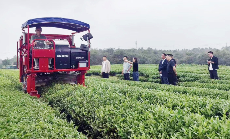 金狮贵宾会·宾至如归尊贵显赫(中国)官方网站