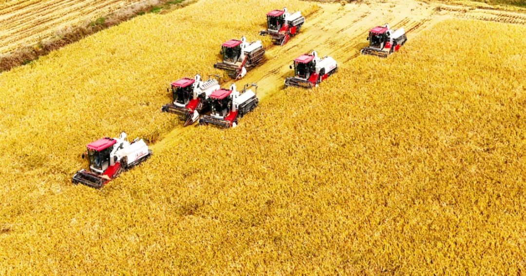 金狮贵宾会·宾至如归尊贵显赫(中国)官方网站