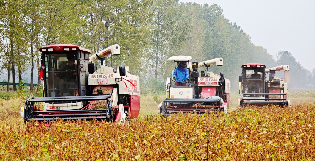 金狮贵宾会·宾至如归尊贵显赫(中国)官方网站