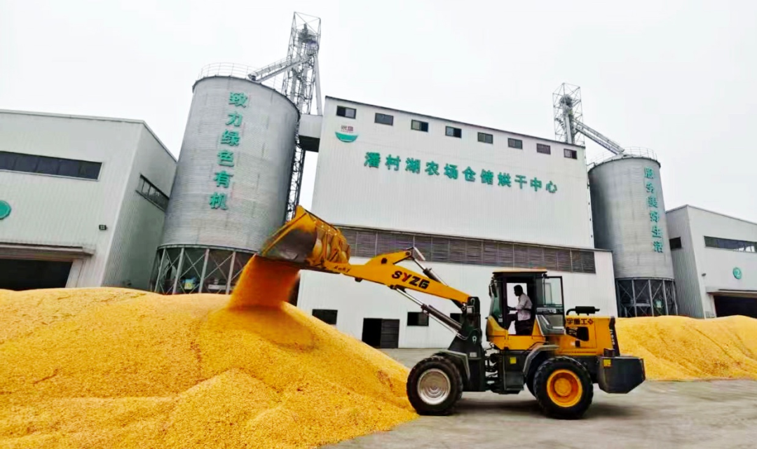 金狮贵宾会·宾至如归尊贵显赫(中国)官方网站