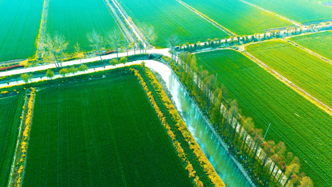 金狮贵宾会·宾至如归尊贵显赫(中国)官方网站