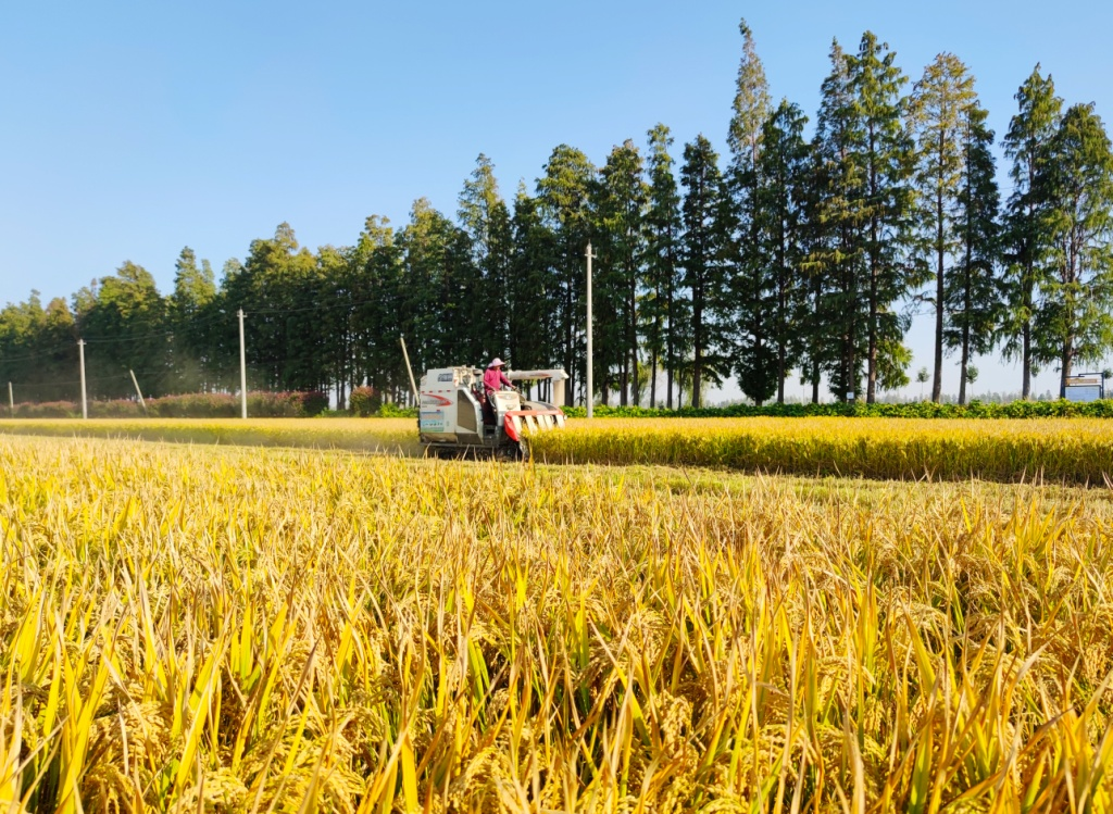 金狮贵宾会·宾至如归尊贵显赫(中国)官方网站