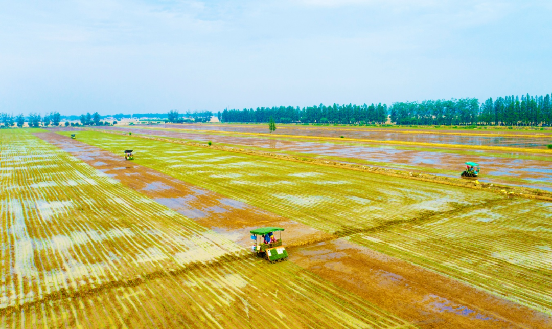 金狮贵宾会·宾至如归尊贵显赫(中国)官方网站