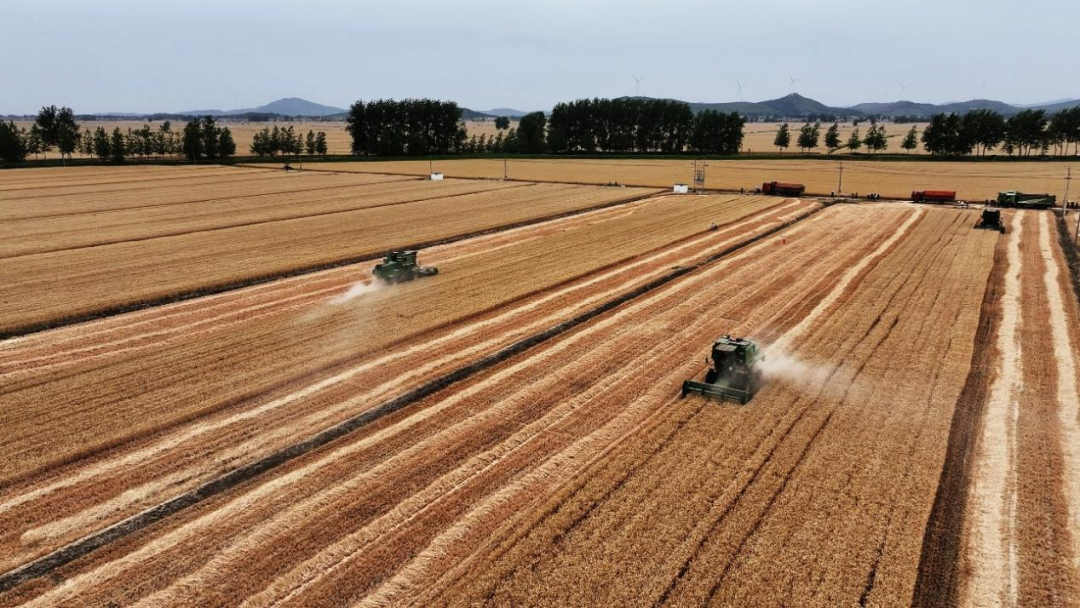 金狮贵宾会·宾至如归尊贵显赫(中国)官方网站