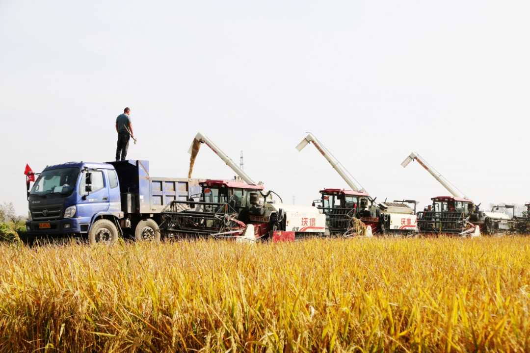 金狮贵宾会·宾至如归尊贵显赫(中国)官方网站