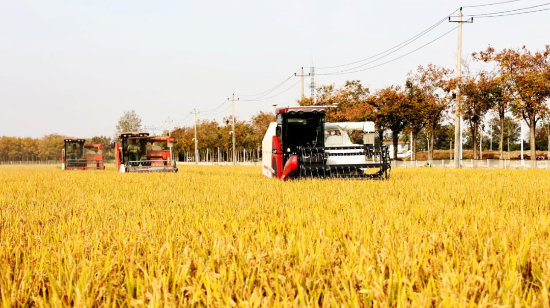 金狮贵宾会·宾至如归尊贵显赫(中国)官方网站
