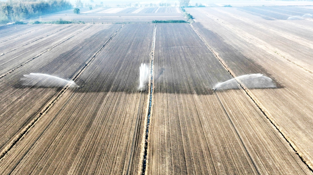 金狮贵宾会·宾至如归尊贵显赫(中国)官方网站