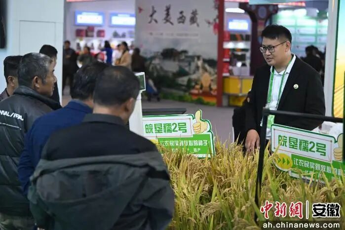 金狮贵宾会·宾至如归尊贵显赫(中国)官方网站