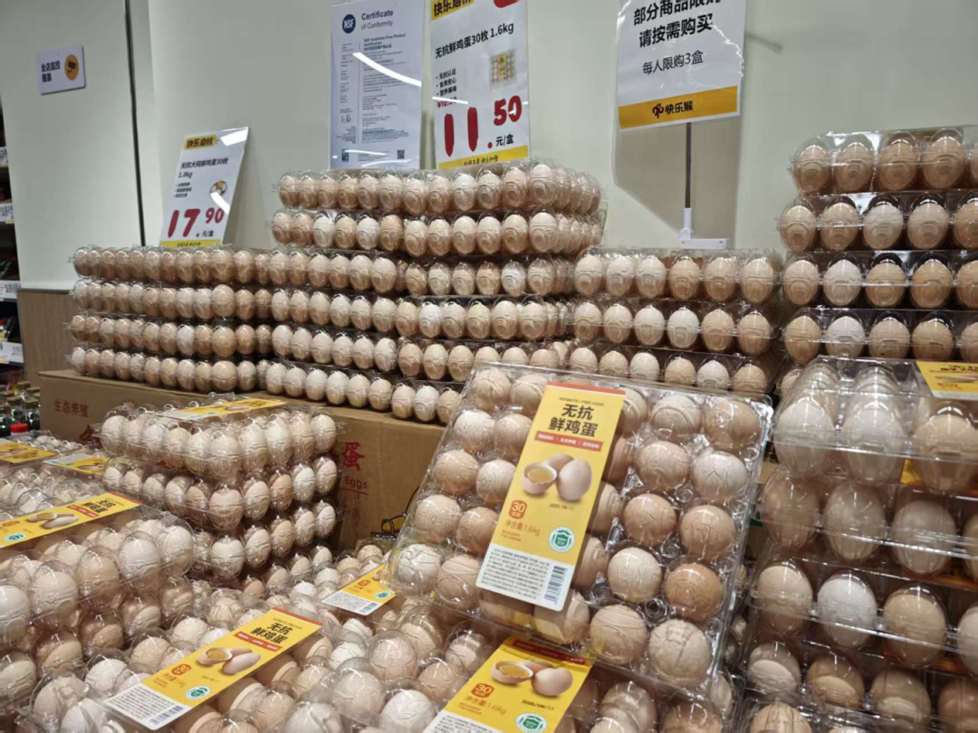 金狮贵宾会·宾至如归尊贵显赫(中国)官方网站