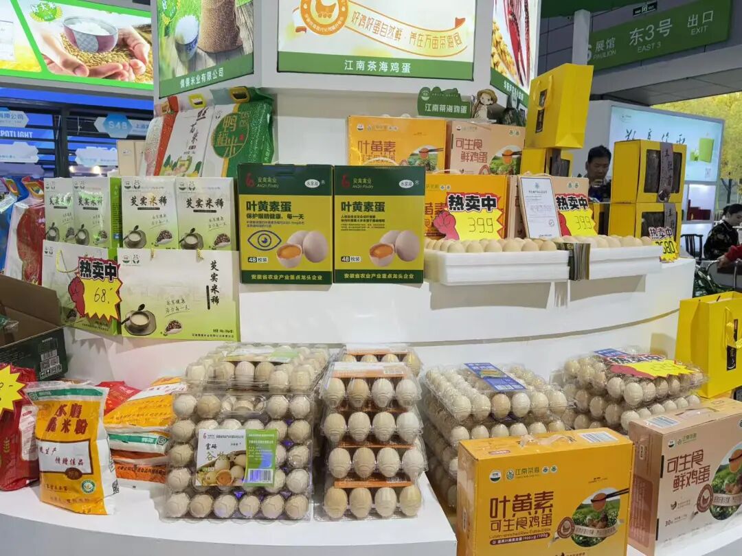 金狮贵宾会·宾至如归尊贵显赫(中国)官方网站