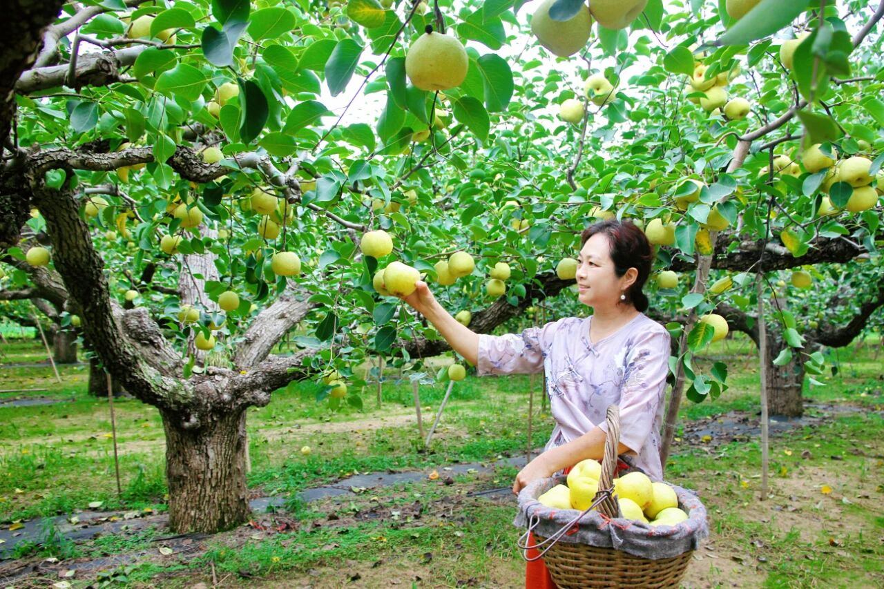 金狮贵宾会·宾至如归尊贵显赫(中国)官方网站