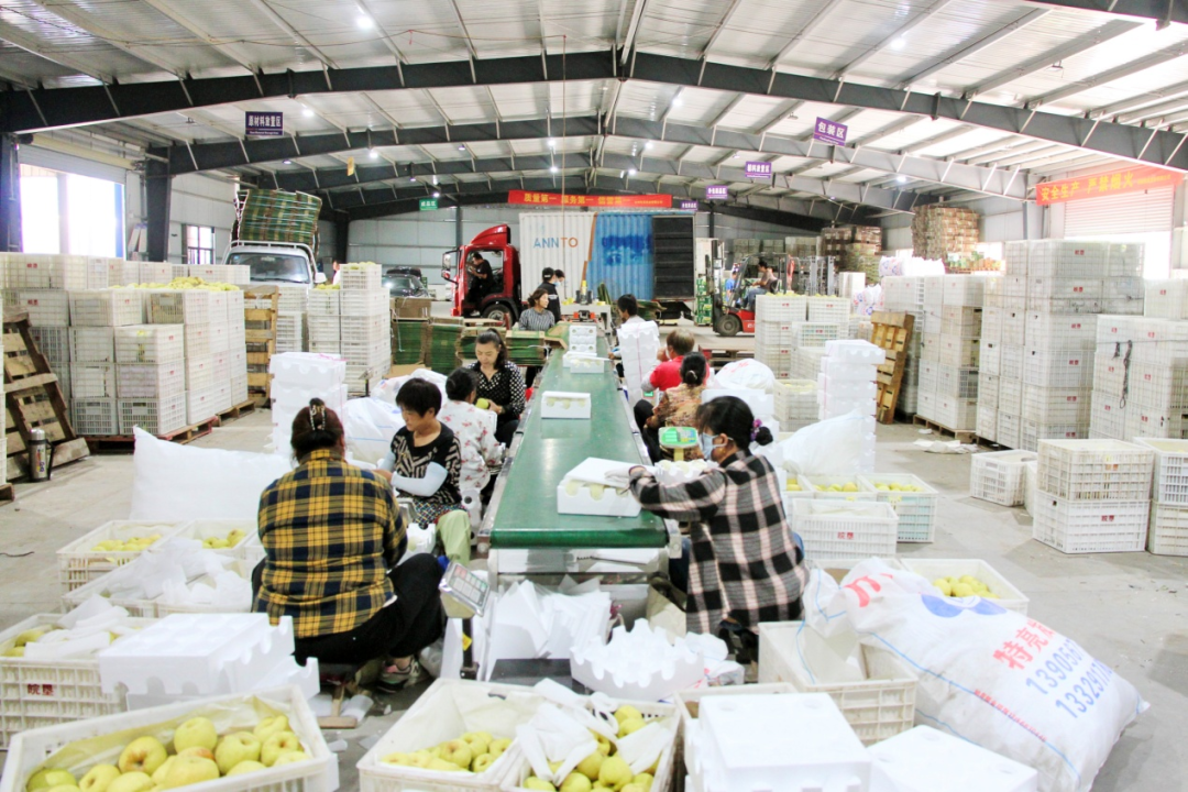 金狮贵宾会·宾至如归尊贵显赫(中国)官方网站