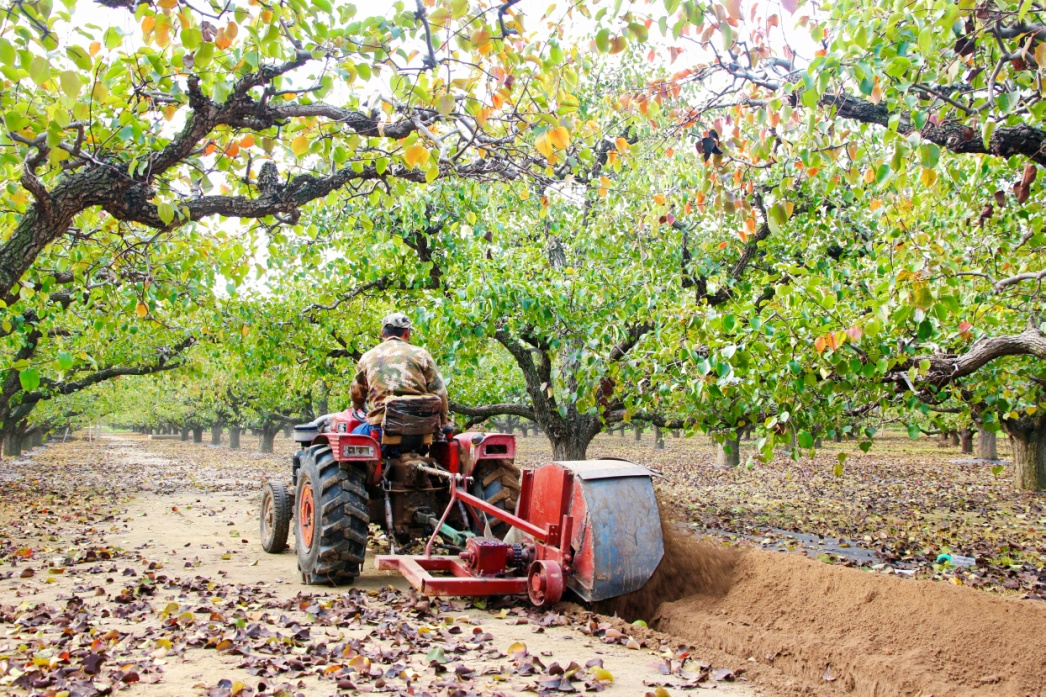 金狮贵宾会·宾至如归尊贵显赫(中国)官方网站