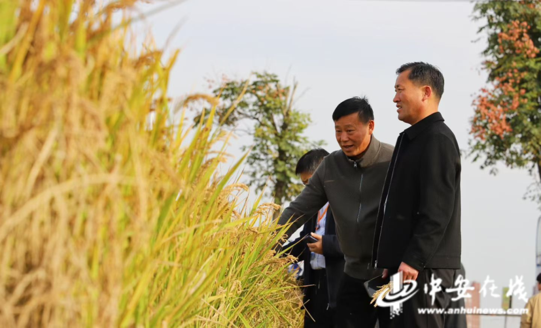 金狮贵宾会·宾至如归尊贵显赫(中国)官方网站