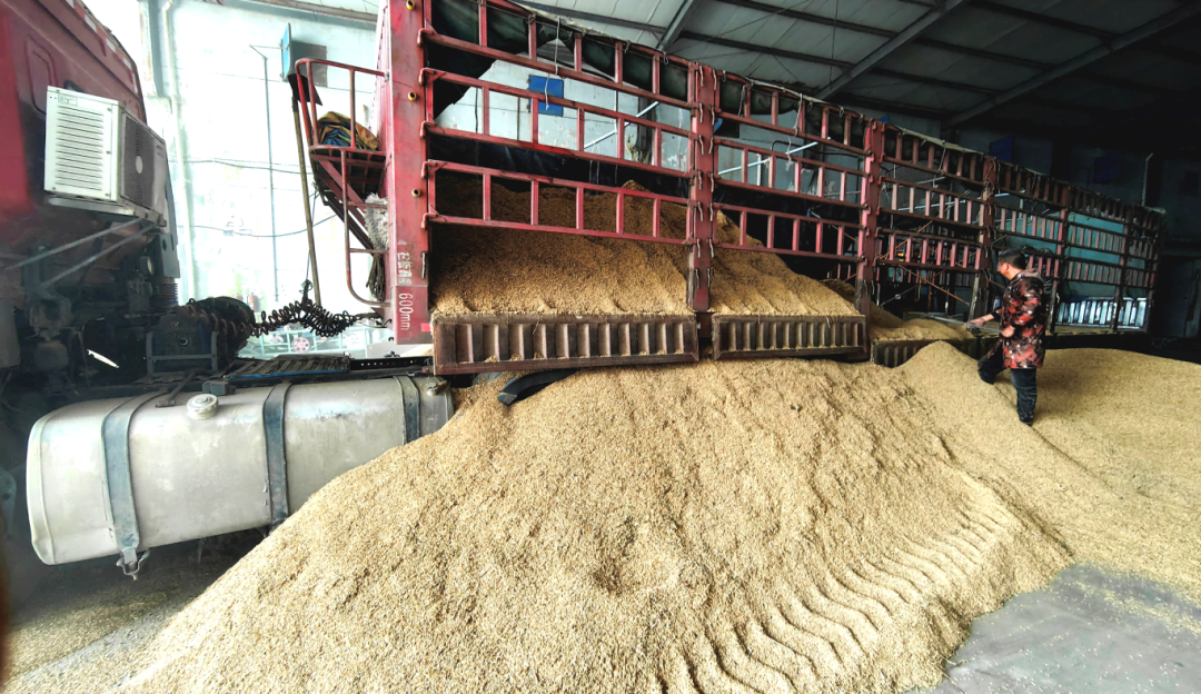 金狮贵宾会·宾至如归尊贵显赫(中国)官方网站