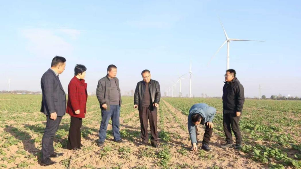 金狮贵宾会·宾至如归尊贵显赫(中国)官方网站