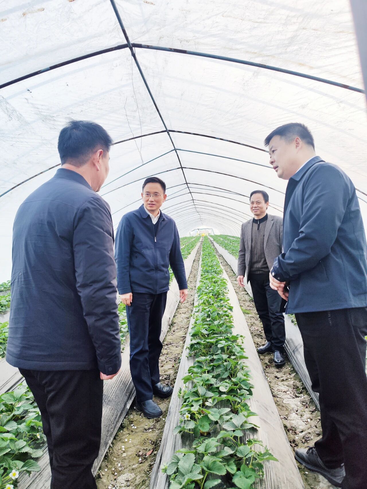 金狮贵宾会·宾至如归尊贵显赫(中国)官方网站