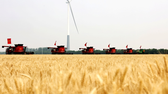 金狮贵宾会·宾至如归尊贵显赫(中国)官方网站