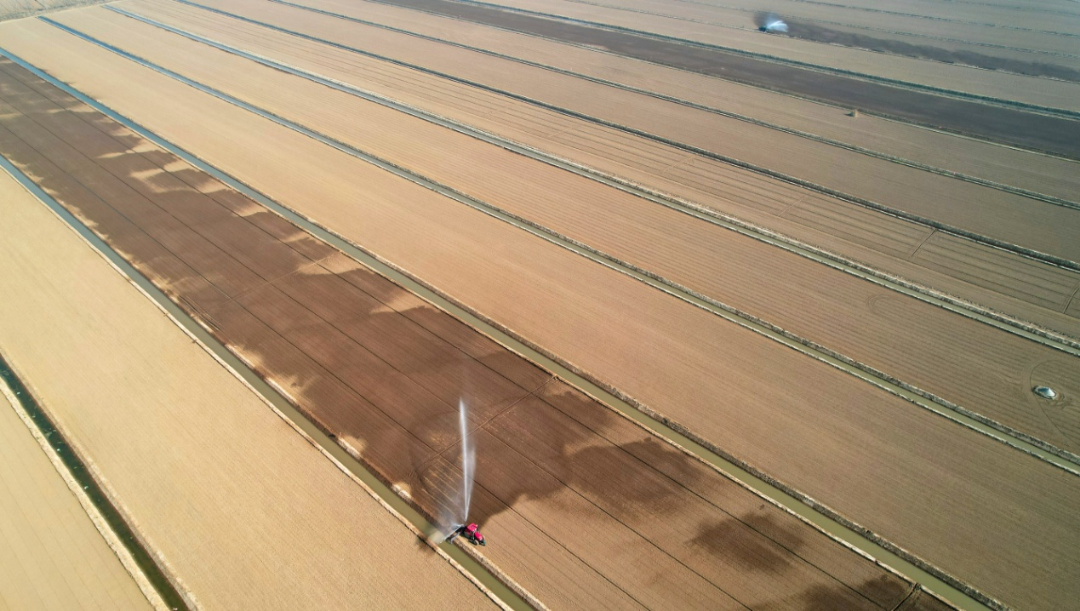 金狮贵宾会·宾至如归尊贵显赫(中国)官方网站