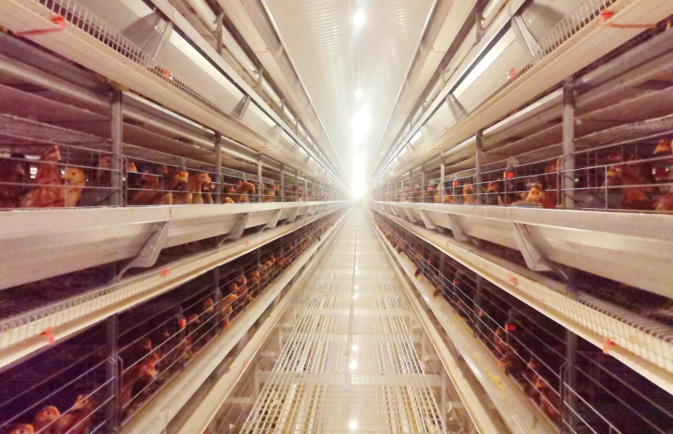 金狮贵宾会·宾至如归尊贵显赫(中国)官方网站