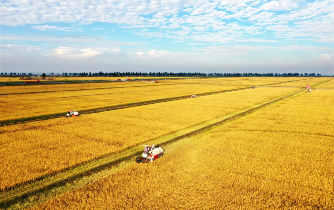 金狮贵宾会·宾至如归尊贵显赫(中国)官方网站