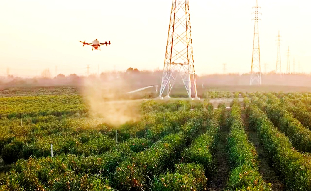 金狮贵宾会·宾至如归尊贵显赫(中国)官方网站