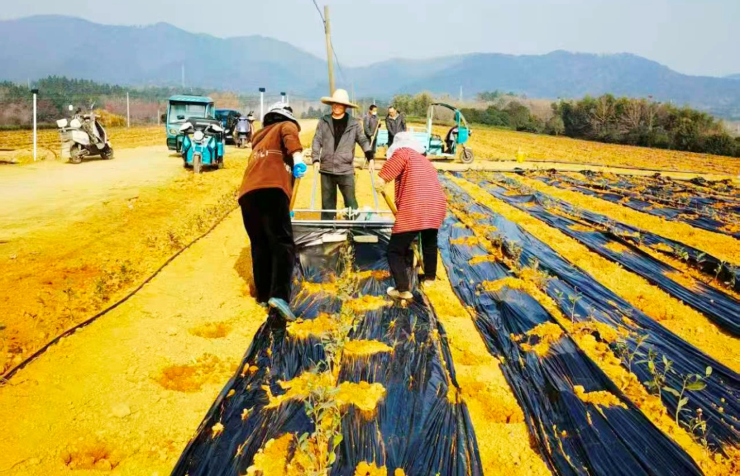 金狮贵宾会·宾至如归尊贵显赫(中国)官方网站