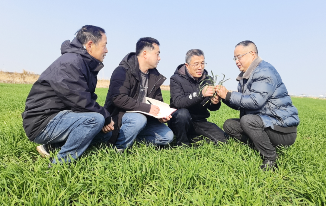 金狮贵宾会·宾至如归尊贵显赫(中国)官方网站