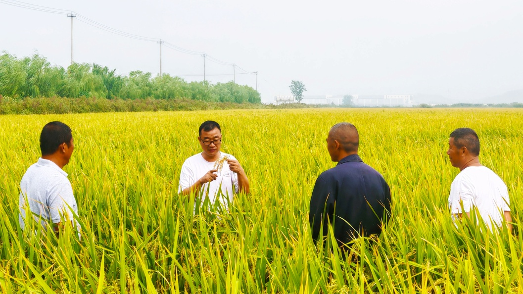 金狮贵宾会·宾至如归尊贵显赫(中国)官方网站